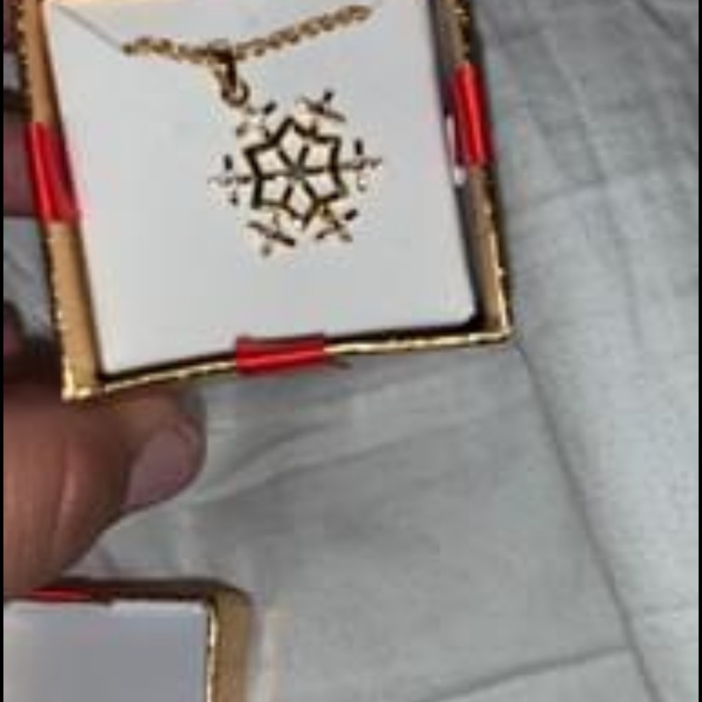 Snowflake necklace! Never worn!